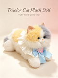 Annie Ragdoll Cat