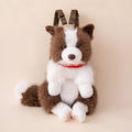 Border Collie Backpack